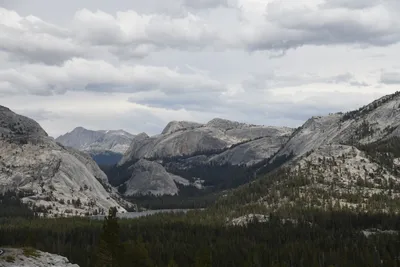 DSC_4401 (Large).JPG